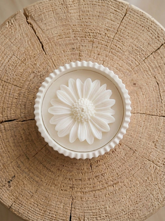 Daisy Bloom