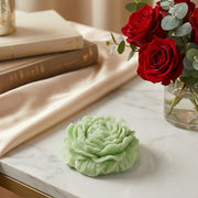 Peony Bloom