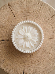 Daisy Bloom