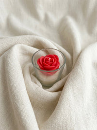 Rose Bloom