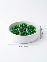 Green succulent-shaped candles in a white dish with dimensions on a white background